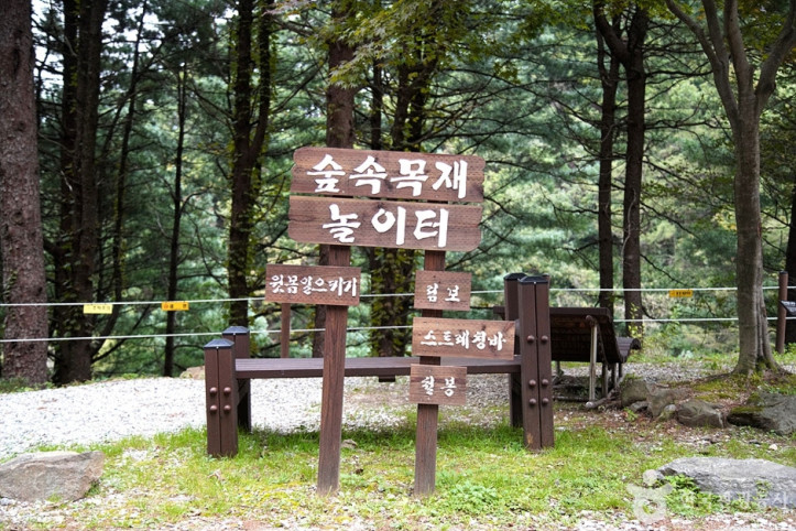 국립 백운산자연휴양림(원주) 여행 추천 - 메고지고