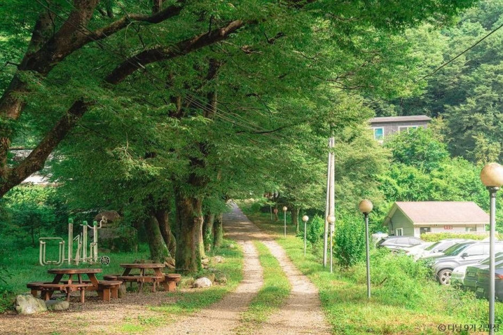 상관 공기마을 편백숲 여행 추천 - 메고지고
