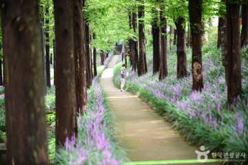 요담엔 여행 추천 - 메고지고