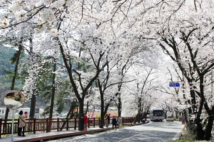 안태공원 여행 추천 - 메고지고