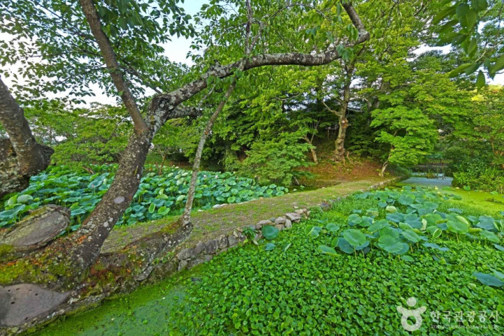 임대정원림 여행 추천 - 메고지고