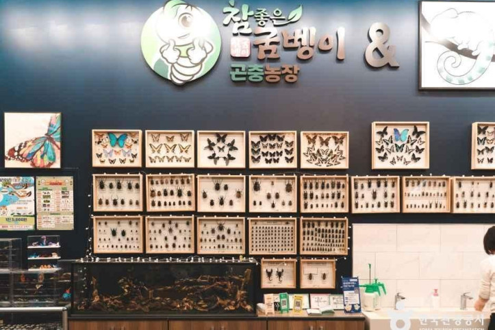 참좋은굼벵이 곤충농장 여행 추천 - 메고지고