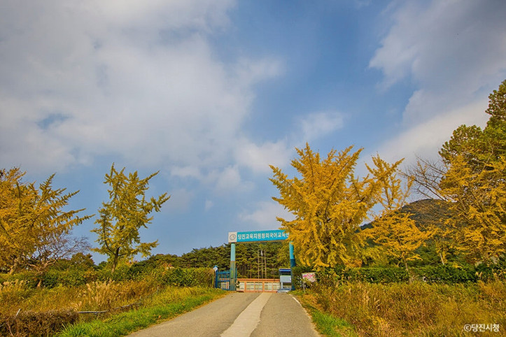 아미산(당진) 여행 추천 - 메고지고