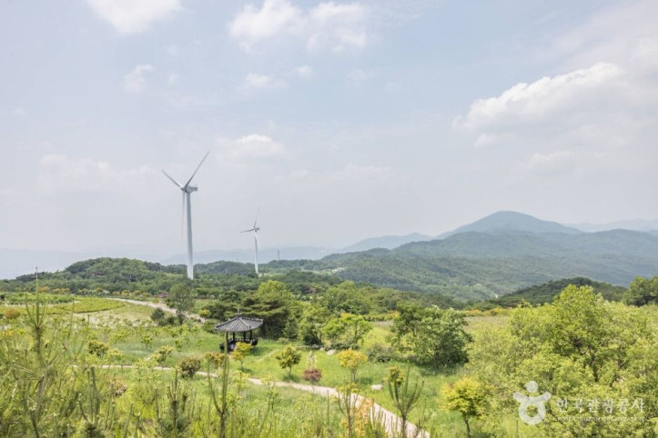경주 풍력발전(바람의언덕) 여행 추천 - 메고지고