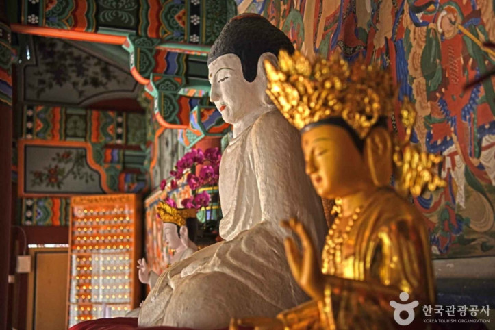 괴산 봉학사지 석조여래좌상 여행 추천 - 메고지고