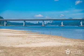 배알도 섬 정원 여행 추천 - 메고지고