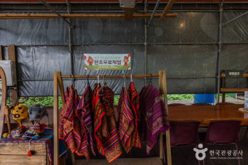 제주양떼목장 여행 추천 - 메고지고