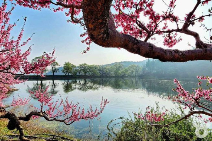 반곡지 여행 추천 - 메고지고
