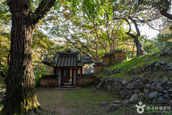 애은당고택·사우정고택·용계정 여행 추천 - 메고지고