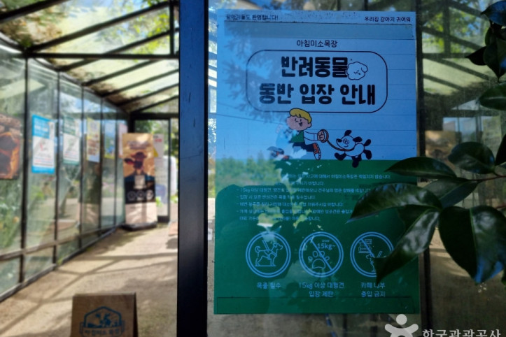 아침미소목장 여행 추천 - 메고지고