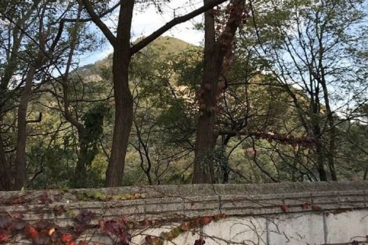부암동 여행 추천 - 메고지고