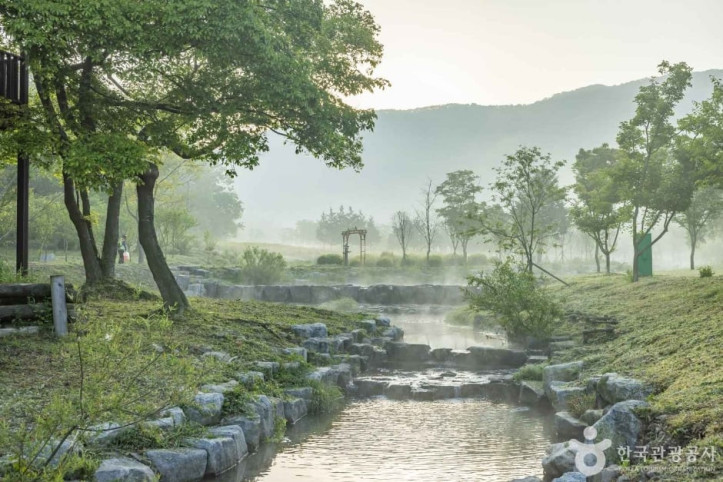 고창 운곡람사르습지 여행 추천 - 메고지고