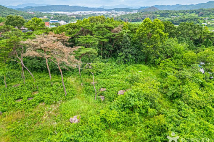 삼거동 고인돌 여행 추천 - 메고지고