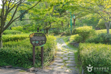 산동참생태숲 여행 추천 - 메고지고