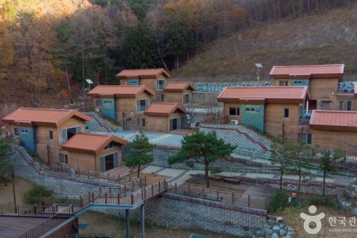전남권 환경성질환 예방관리센터 여행 추천 - 메고지고
