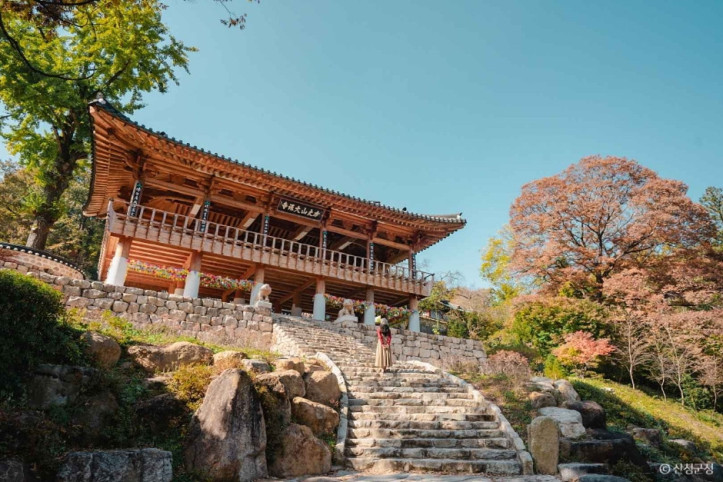대원사(산청) 여행 추천 - 메고지고