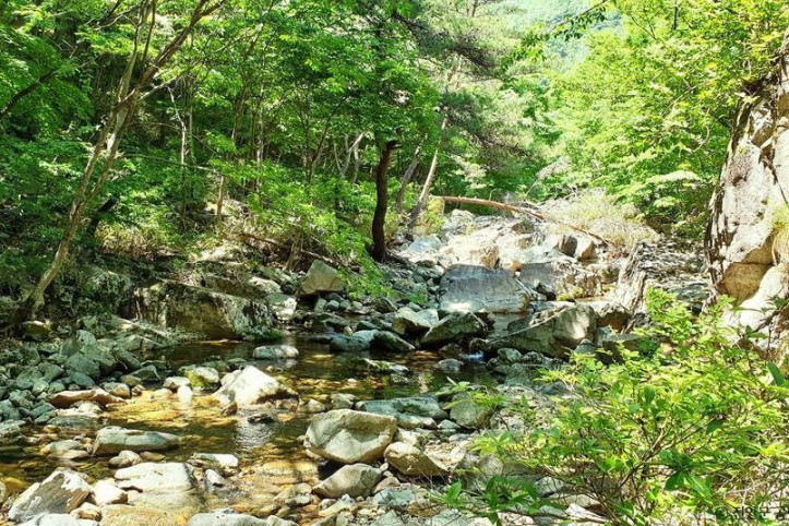 운장산(진안) 여행 추천 - 메고지고
