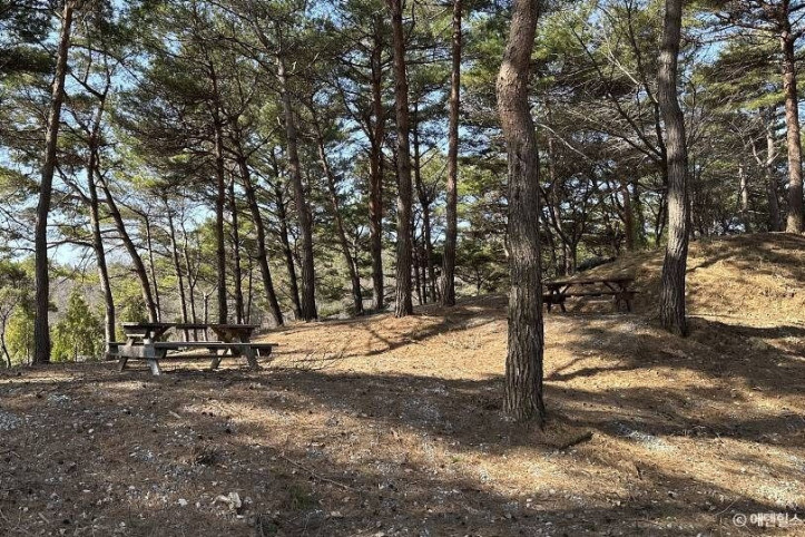 에덴힐스 힐링파크 여행 추천 - 메고지고