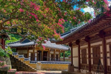 반룡사(고령) 여행 추천 - 메고지고