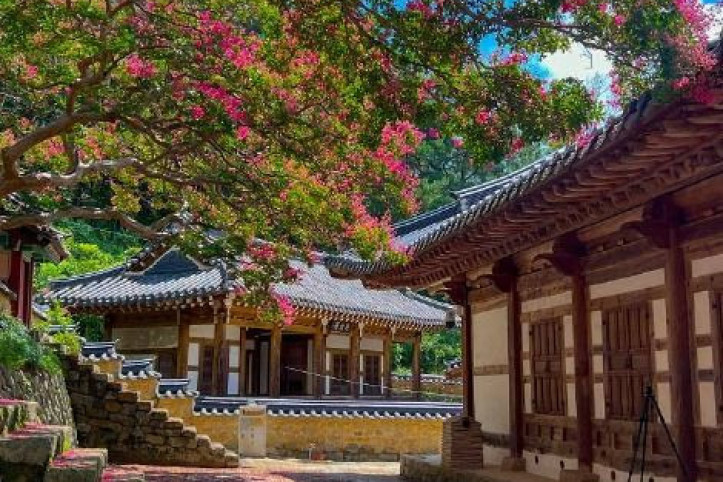 도암서원(고령) 여행 추천 - 메고지고