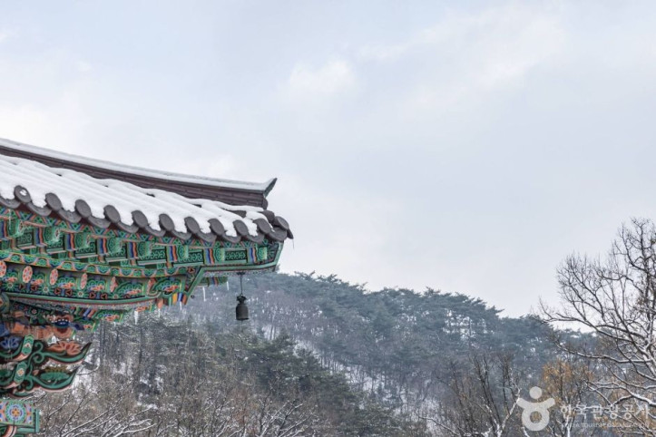 내원사(서울) 여행 추천 - 메고지고