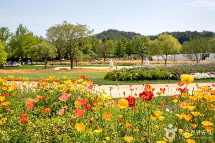 순천만국가정원 여행 추천 - 메고지고