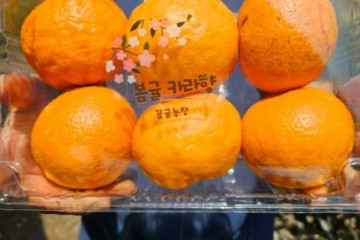 제주향농원 여행 추천 - 메고지고