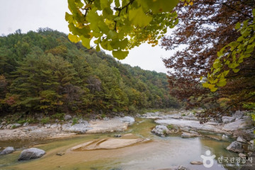 분천 산타마을 여행 추천 - 메고지고