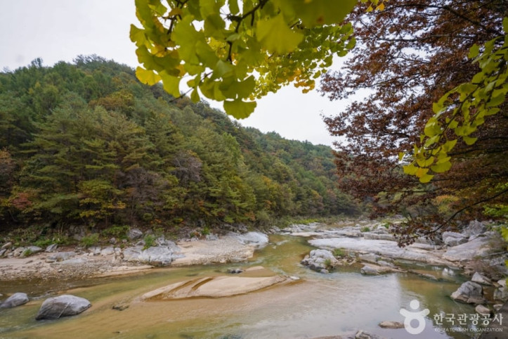 사미정계곡 여행 추천 - 메고지고