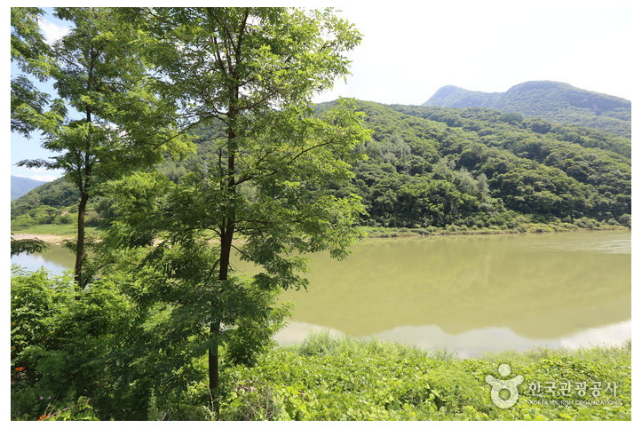 태화산(강원) 여행 추천 - 메고지고