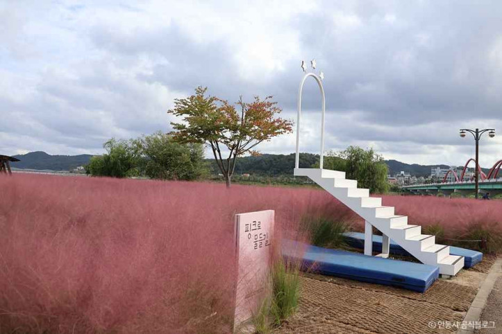 그라스원 여행 추천 - 메고지고