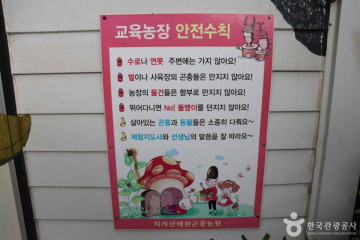 안의향교 여행 추천 - 메고지고
