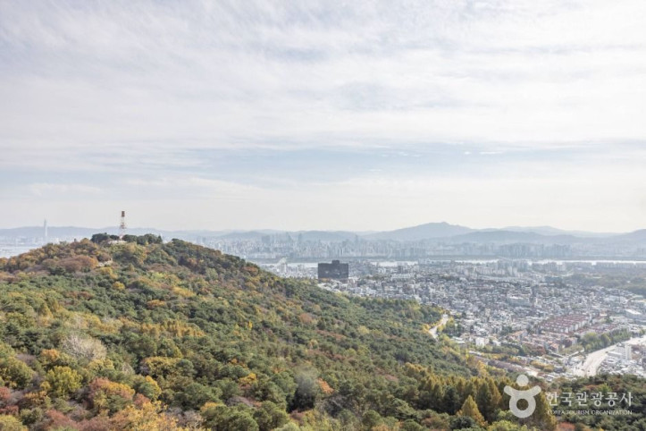 남산공원(서울) 여행 추천 - 메고지고