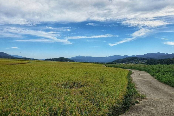 경주 낭산 일원 여행 추천 - 메고지고