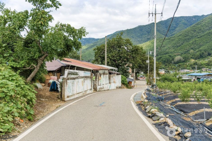 치목삼베마을 여행 추천 - 메고지고