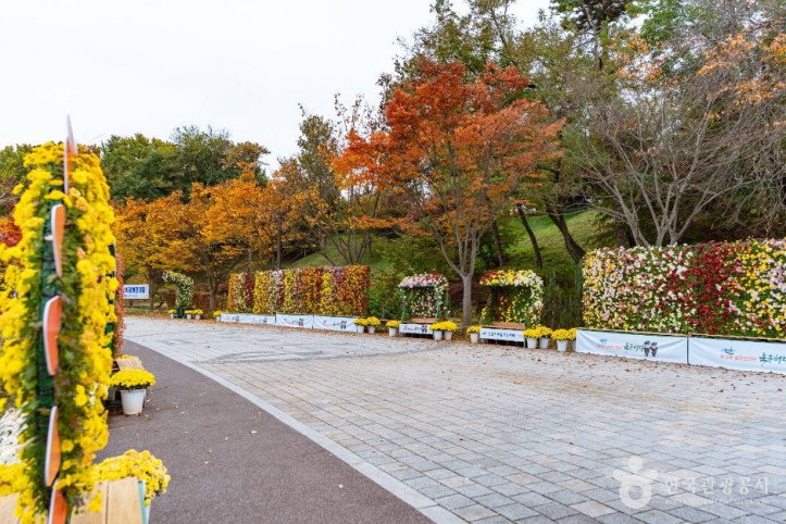 논산 시민가족공원 여행 추천 - 메고지고