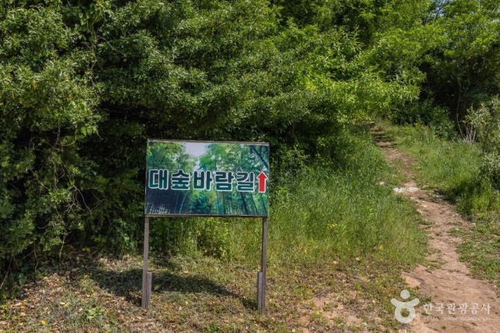 면천읍성 대숲바람길 여행 추천 - 메고지고