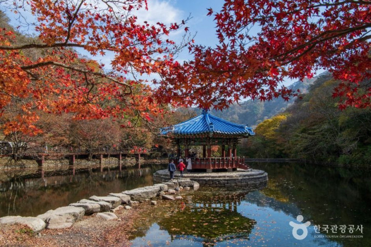 내장산국립공원 여행 추천 - 메고지고