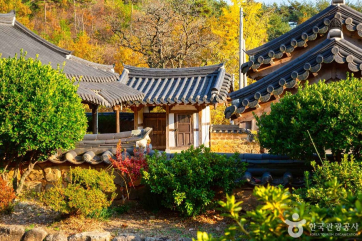 해동사 여행 추천 - 메고지고