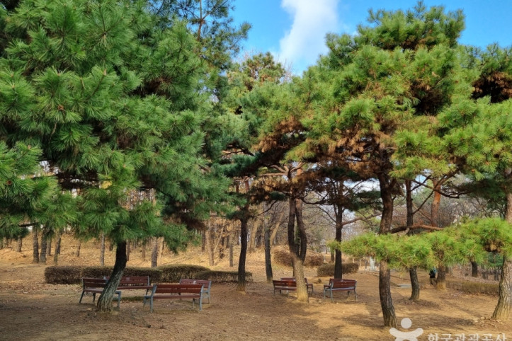 수지체육공원 여행 추천 - 메고지고