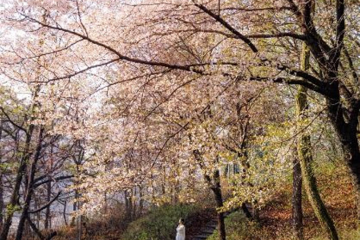 소래산 여행 추천 - 메고지고