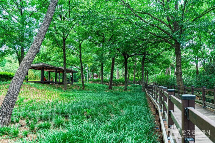 경암근린공원 여행 추천 - 메고지고