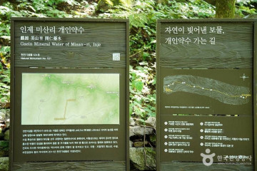 고로쇠마을(미산마을) 여행 추천 - 메고지고