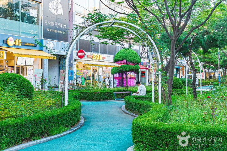 장미의거리 여행 추천 - 메고지고