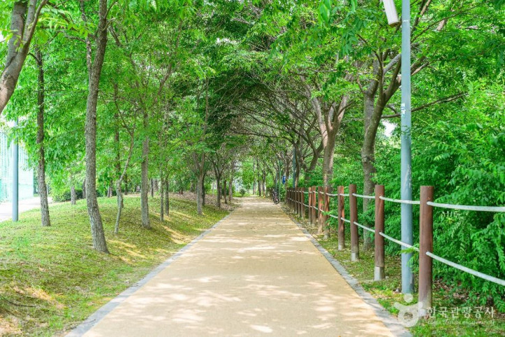 서호꽃뫼공원 여행 추천 - 메고지고