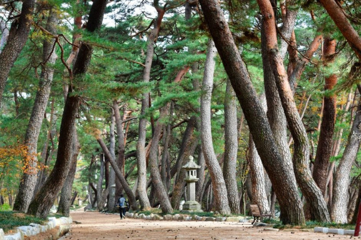 통도사(양산) 여행 추천 - 메고지고