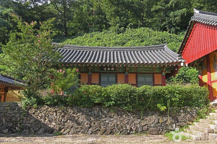 죽림사(나주) 여행 추천 - 메고지고