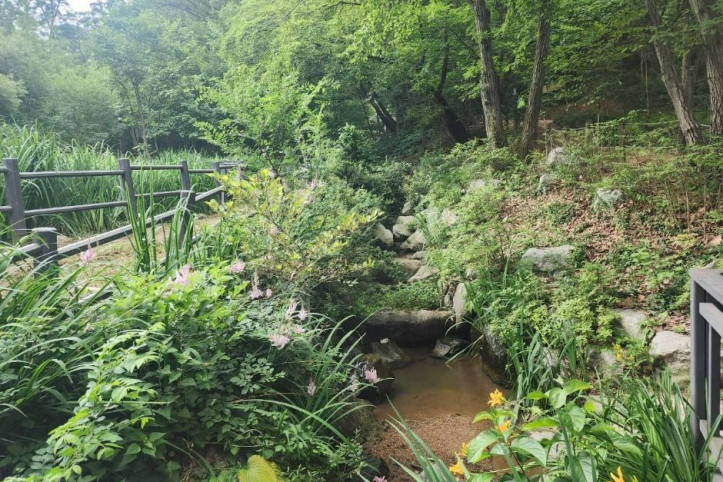 관악산 선우공원 여행 추천 - 메고지고