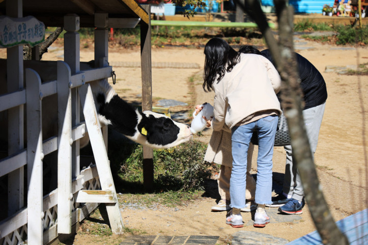 숲속에 동물농장 여행 추천 - 메고지고