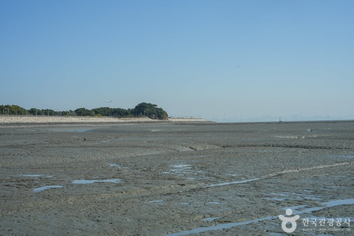 거잠포해변 여행 추천 - 메고지고